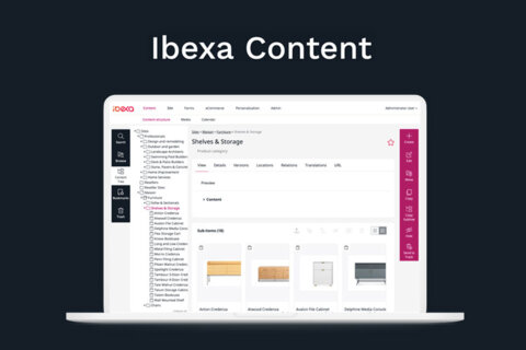 Ibexa Content