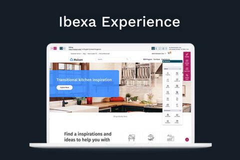 Ibexa Experience